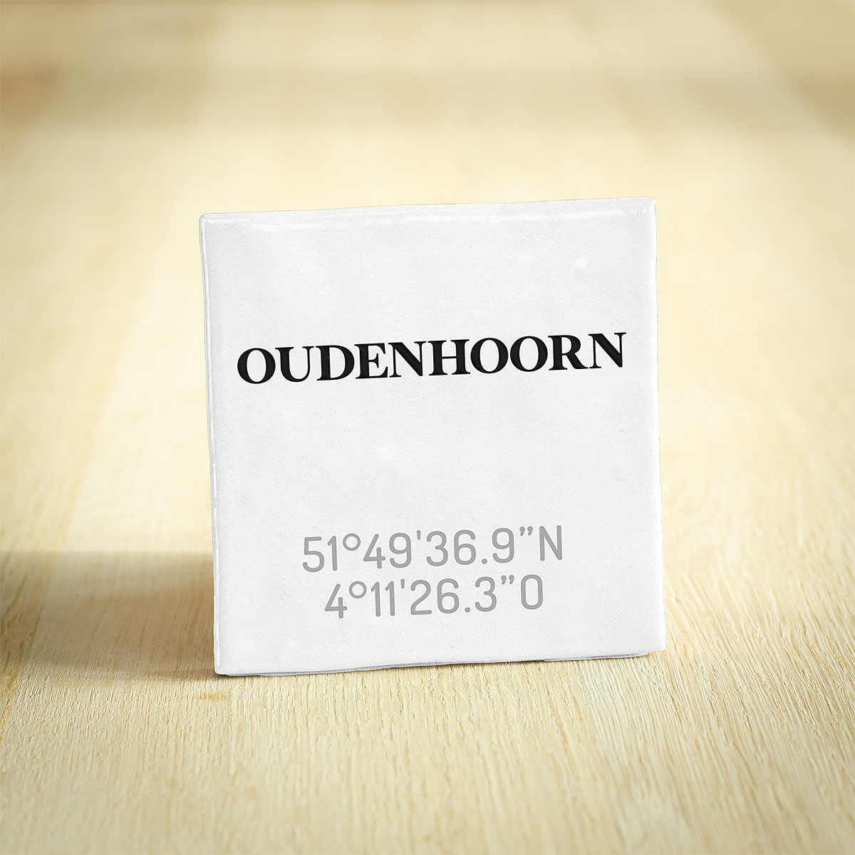 Tegel Oudenhoorn - Zuid-Holland | Coördinaten